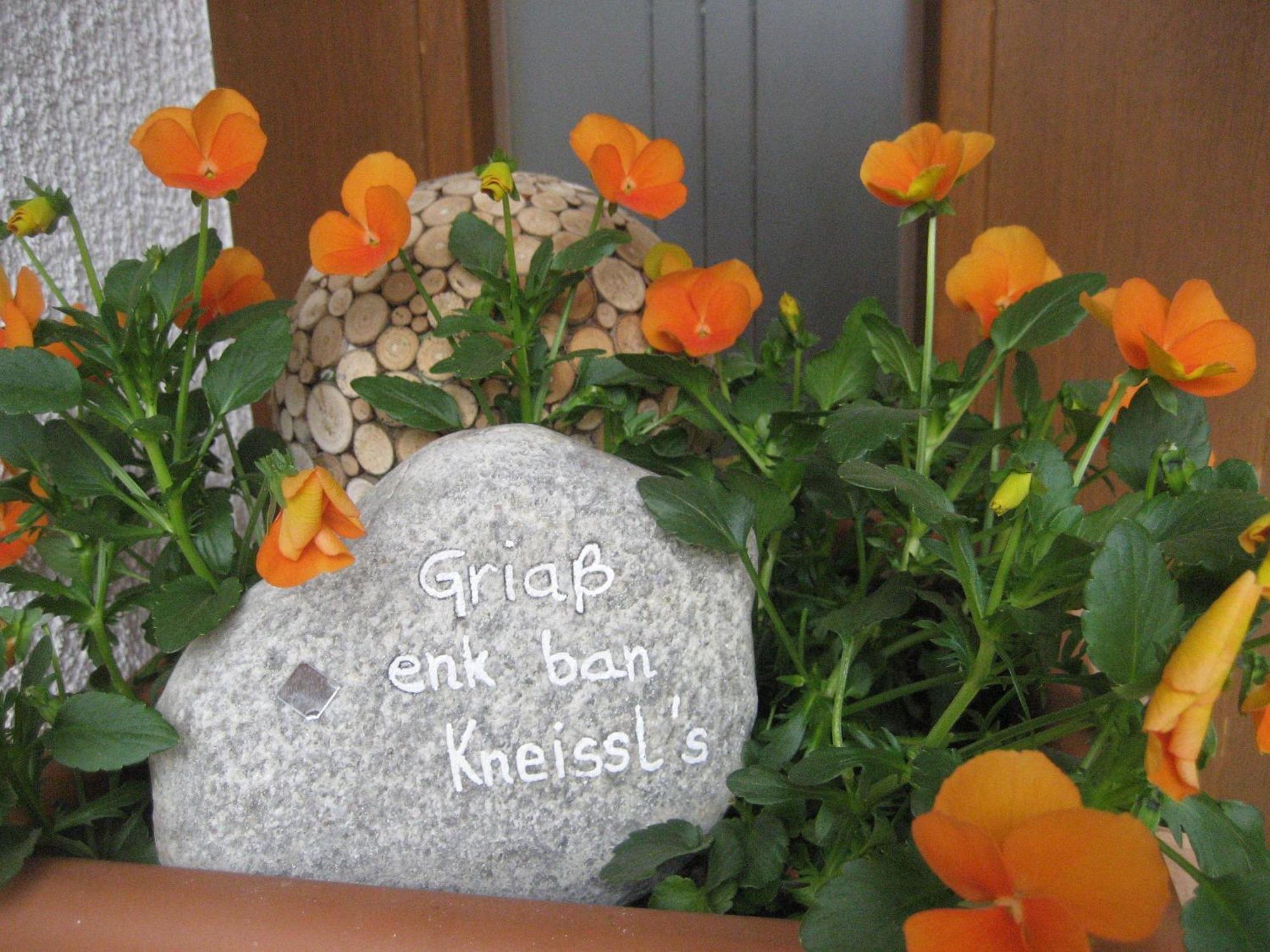 Ban Kneissl'S Appartement Umhausen Buitenkant foto