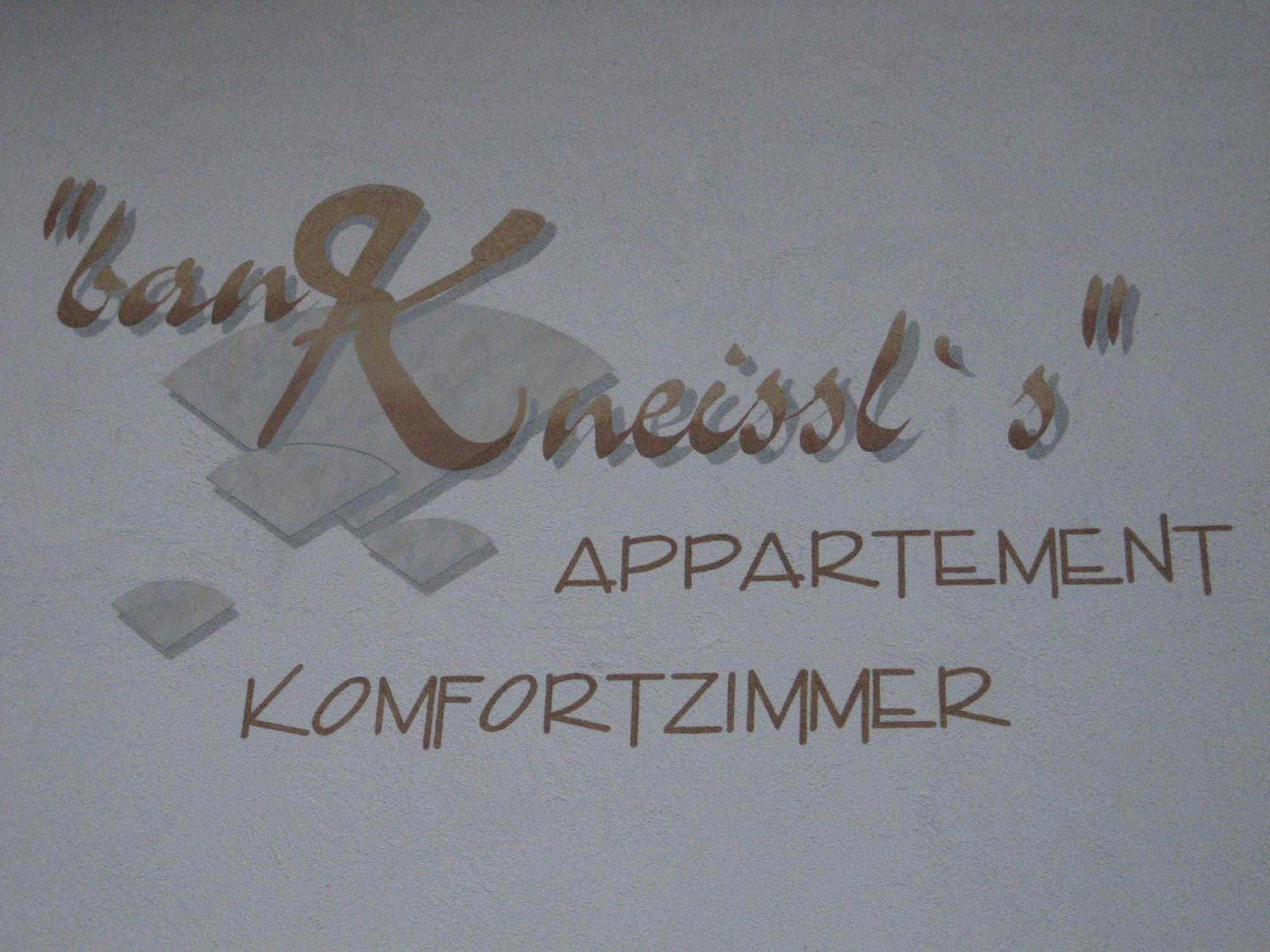 Ban Kneissl'S Appartement Umhausen Buitenkant foto